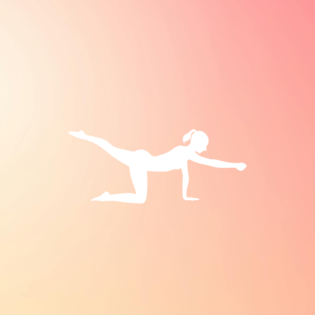 מוצרי פילאטיס